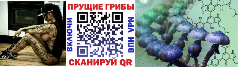 ОМГ ОМГ как зайти  Кировск  Галлюциногенные грибы Psilocybe 
