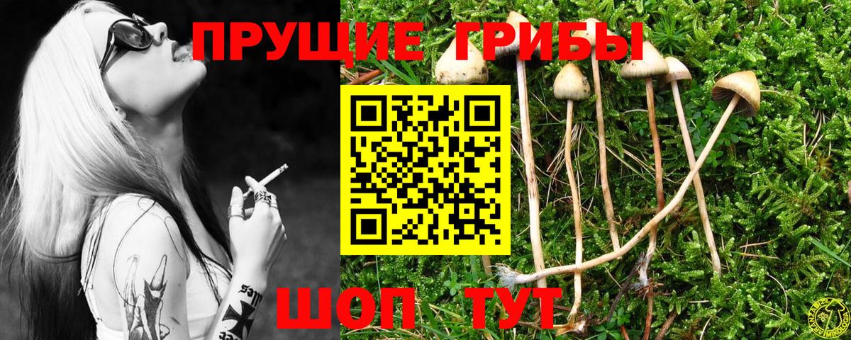 Галлюциногенные грибы прущие грибы Кировск