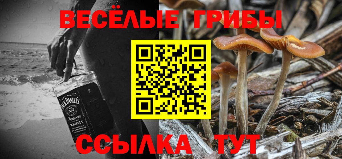 Кировск  Псилоцибиновые грибы мицелий  Вход с VPN 