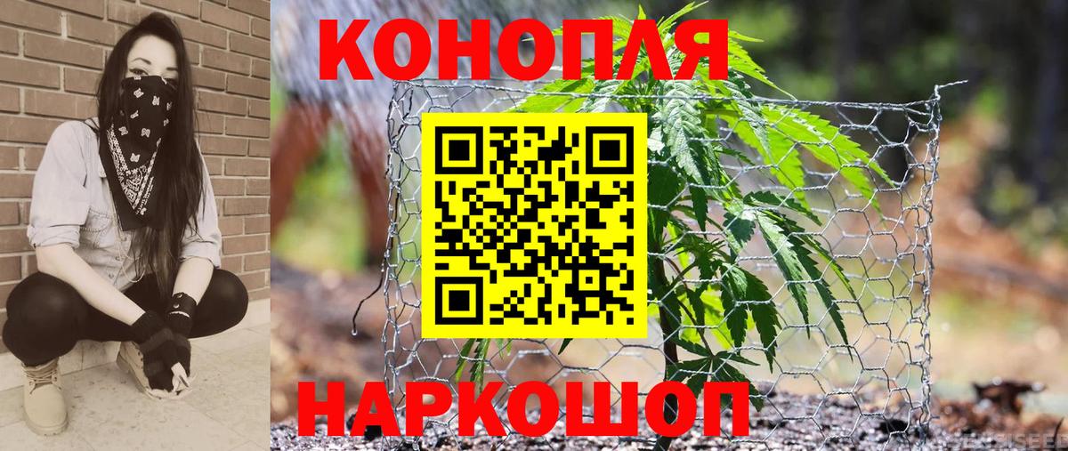 МАРИХУАНА семена  Вход с VPN  Канабис планчик  Кировск  Каннабис Amnesia 
